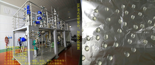 祝賀國內(nèi)首套釜式連續(xù)加氫中試成套裝置一次出料成功！.jpg